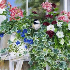 Схема вышивки «al balcone»