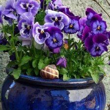 Схема вышивки «№617494»