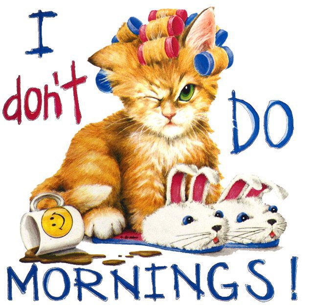 Доброе утро - утро, прикол, котик - оригинал