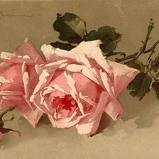 Оригинал схемы вышивки «Из цикла Розы...» (№617866)
