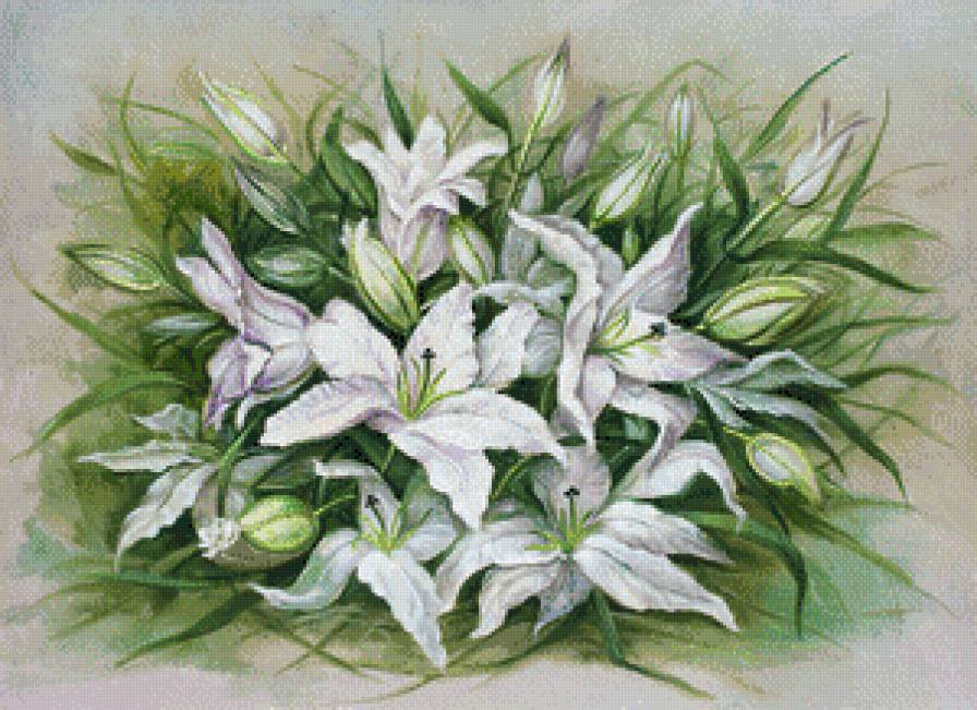 белые лилии - белые цветы, букет, лилия, лилии - предпросмотр