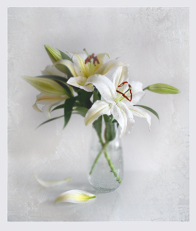 Белый натюрморт - натюрморт, ваза, бокал, лилии, белый - оригинал