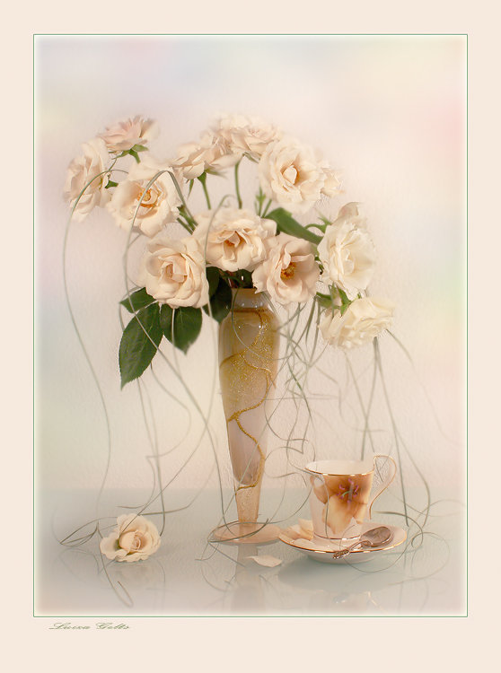 Натюрморт - натюрморт, розы, белый, цветы - оригинал