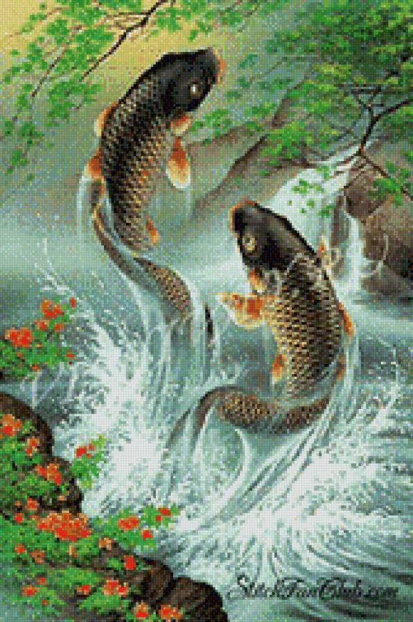 №618117 - рыба, окунь - предпросмотр