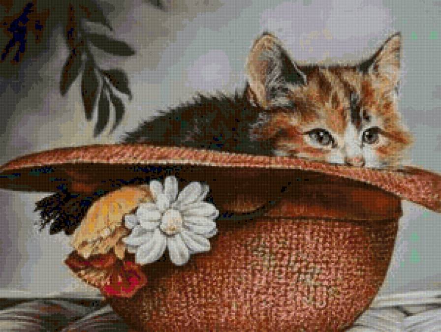 спрятался - котики, шляпа - предпросмотр