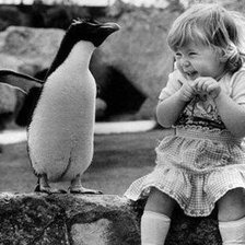 Пингвин и девочка