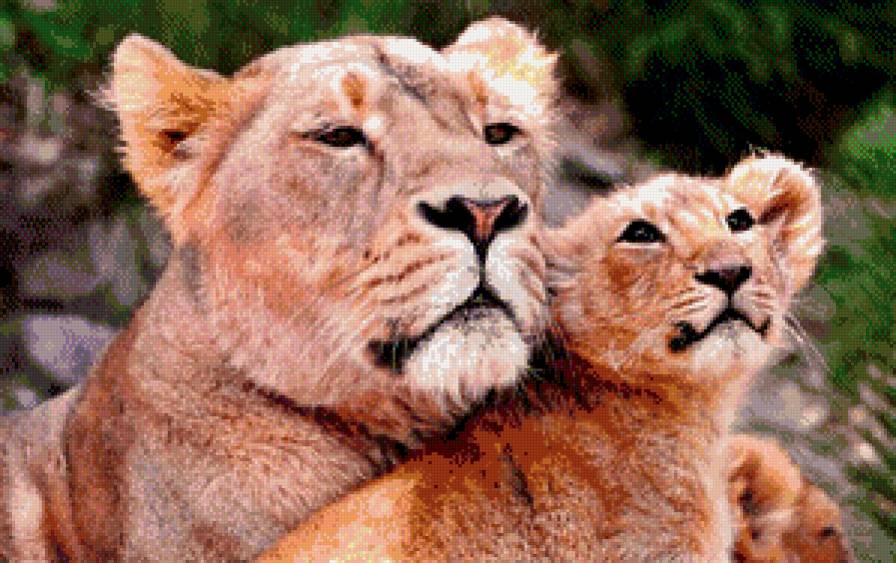 рядом с мамой - кошка, семья, лев, любовь, мама - предпросмотр