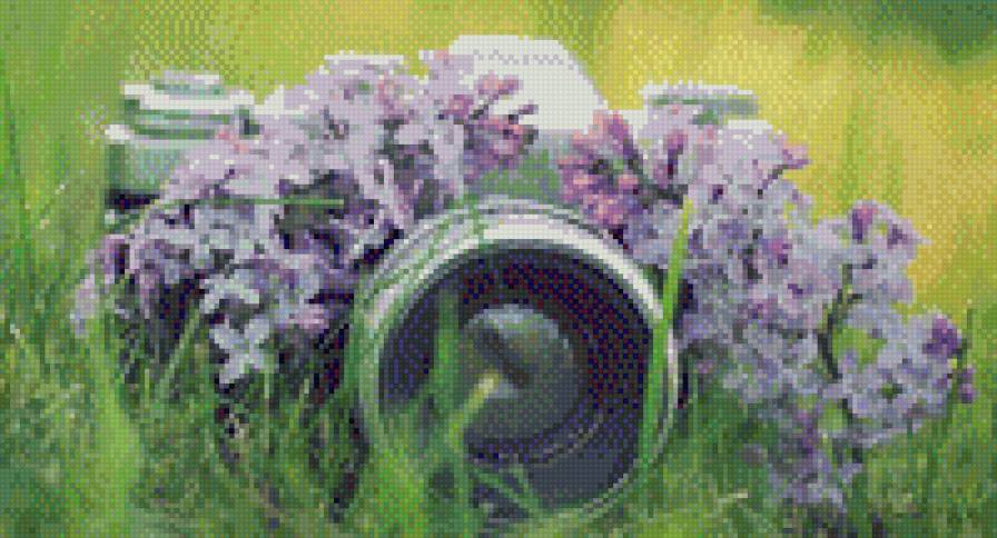 Фотоаппарат - фотоаппарат, романтика - предпросмотр