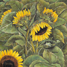 Схема вышивки «Подсолнухи»