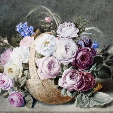 Схема вышивки «roze»