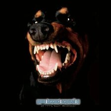 Схема вышивки «Ротр»