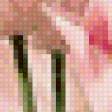 Предпросмотр схемы вышивки «Тюльпаны» (№618675)