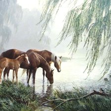 Оригинал схемы вышивки «№618701»