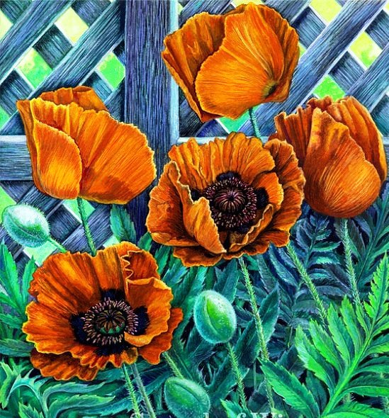 №618708 - цветы - оригинал