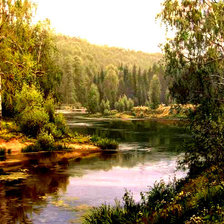 лесная река