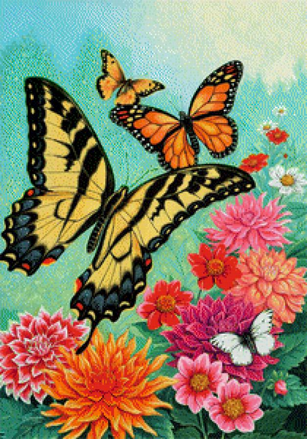 цветы и бабочки - предпросмотр