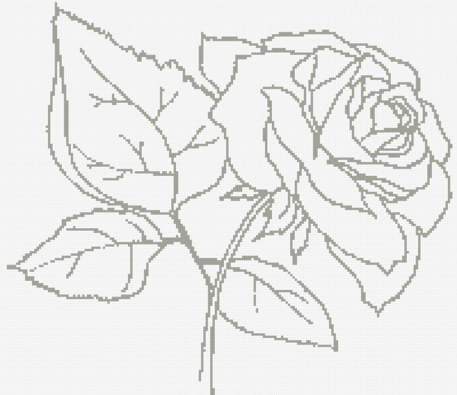 roza - предпросмотр