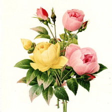 Оригинал схемы вышивки «Букет роз» (№618875)