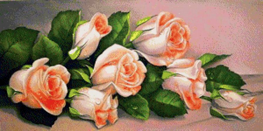 Оранжевые розы - предпросмотр
