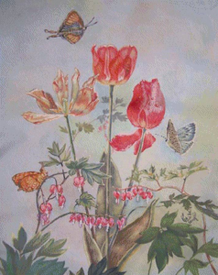 Тюльпаны - предпросмотр