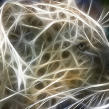 Схема вышивки «леопард»