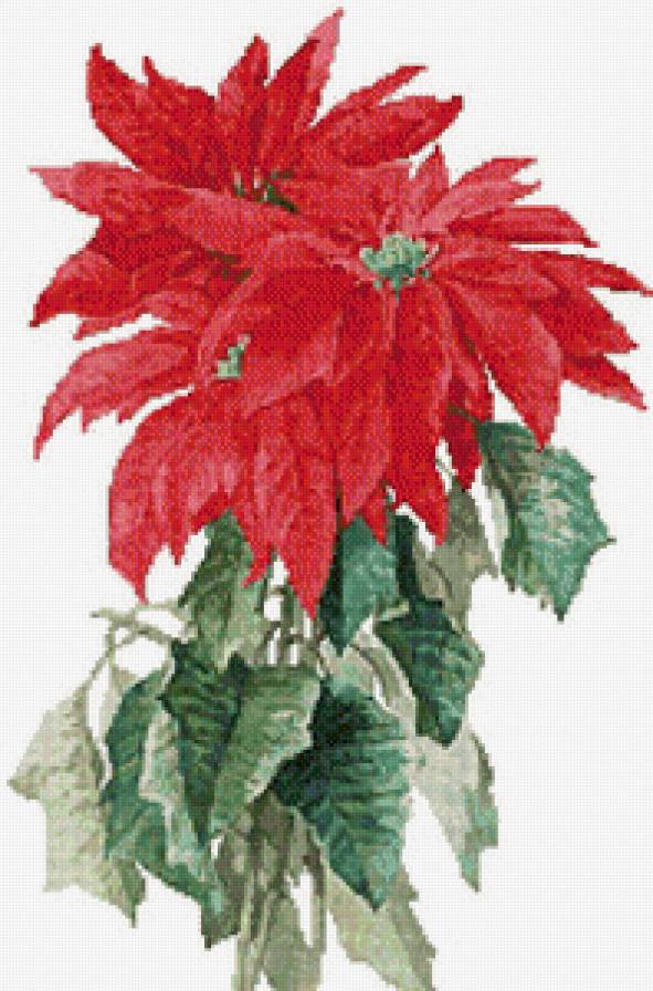 40 - предпросмотр