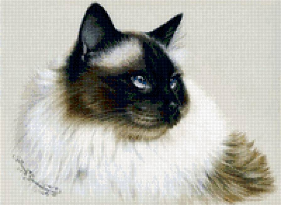 серия "Кошки" 16 - природа. животные. кошка - предпросмотр