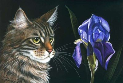 серия "Кошки" 21 - природа. животные. кошка - оригинал