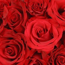 Схема вышивки «розы2»