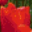 Предпросмотр схемы вышивки «красные тюльпана» (№619142)