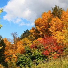 Схема вышивки «№619230»