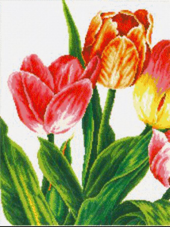 1 - предпросмотр