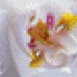 Предпросмотр схемы вышивки «Белые цветы» (№619466)