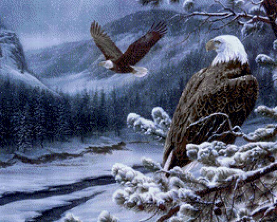 орлы - орел, лес, снег, зима - предпросмотр