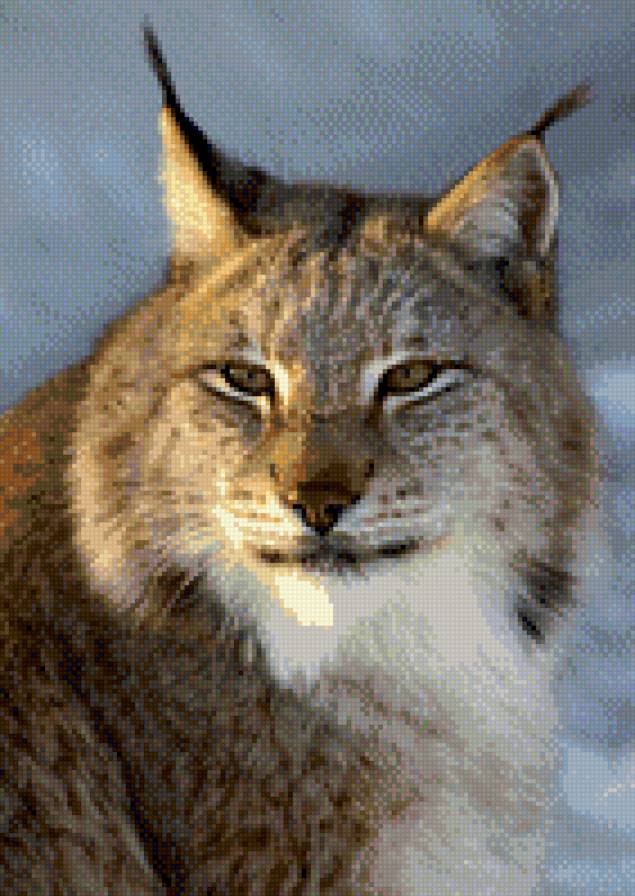 №619549 - предпросмотр