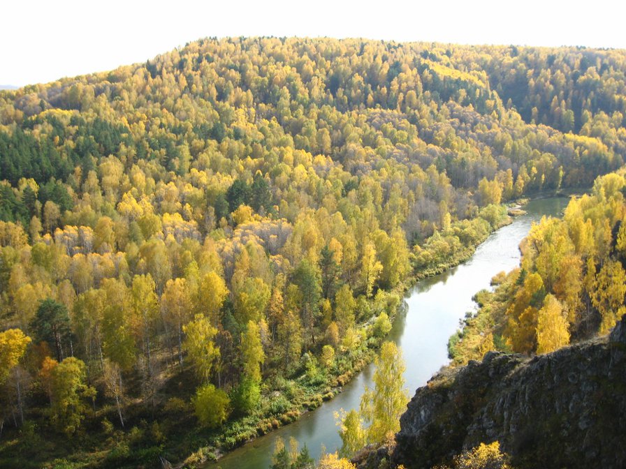 №619553 - оригинал