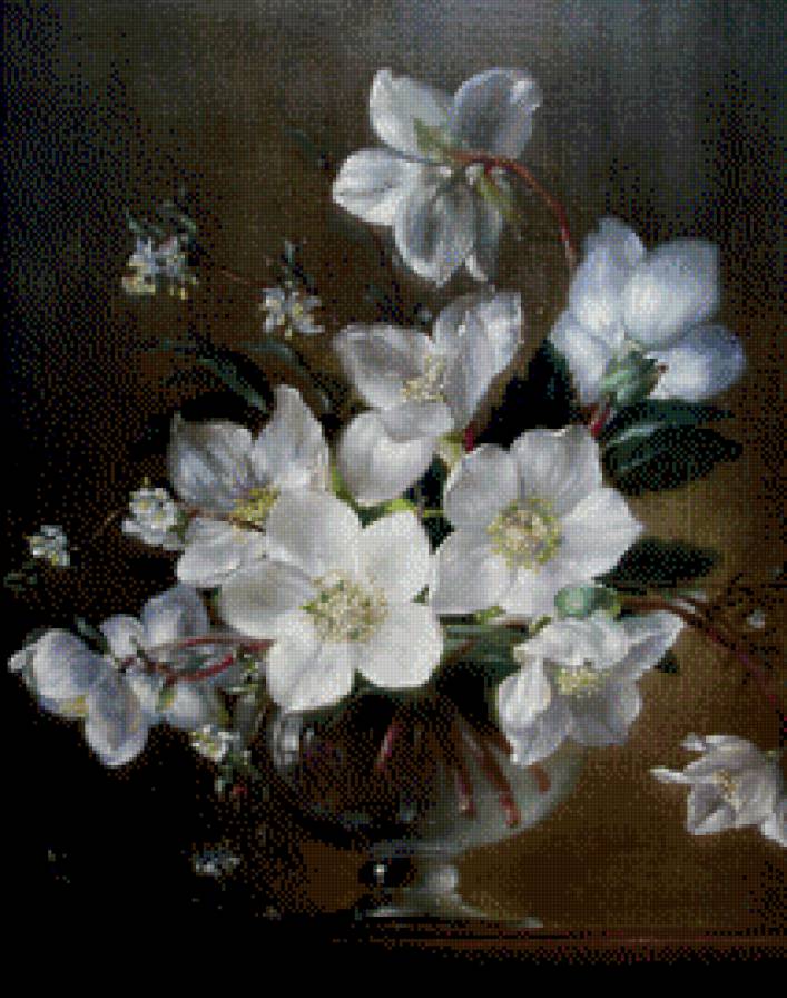 белые цветы - цветы - предпросмотр