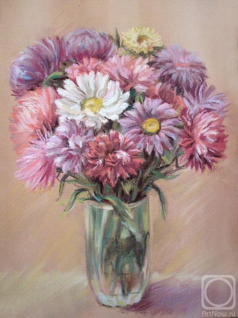 астры - цветы - оригинал