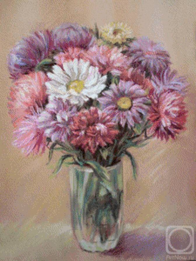 астры - цветы - предпросмотр