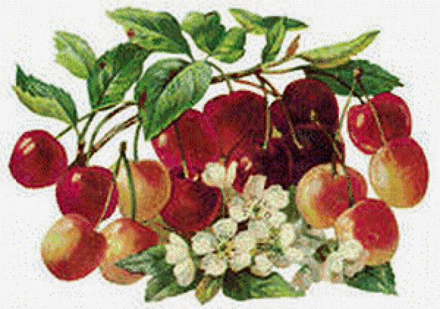 №619799 - предпросмотр