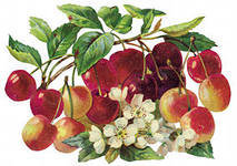 Схема вышивки «№619799»