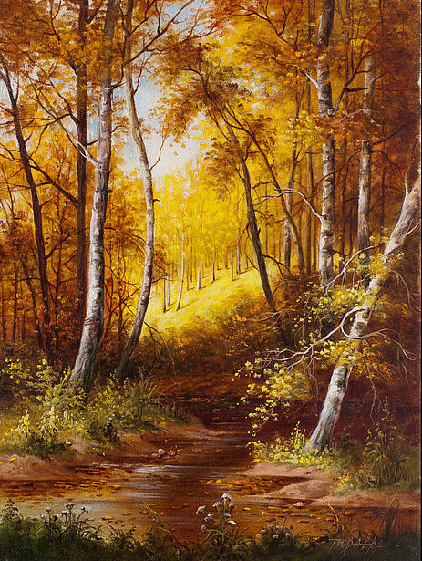 Осень в берёзовом лесу - березы, осень, пейзаж, лес - оригинал