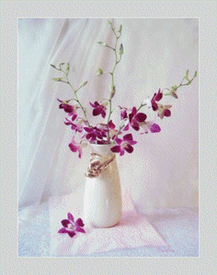 орхидеи - цветы.орхидеи - предпросмотр