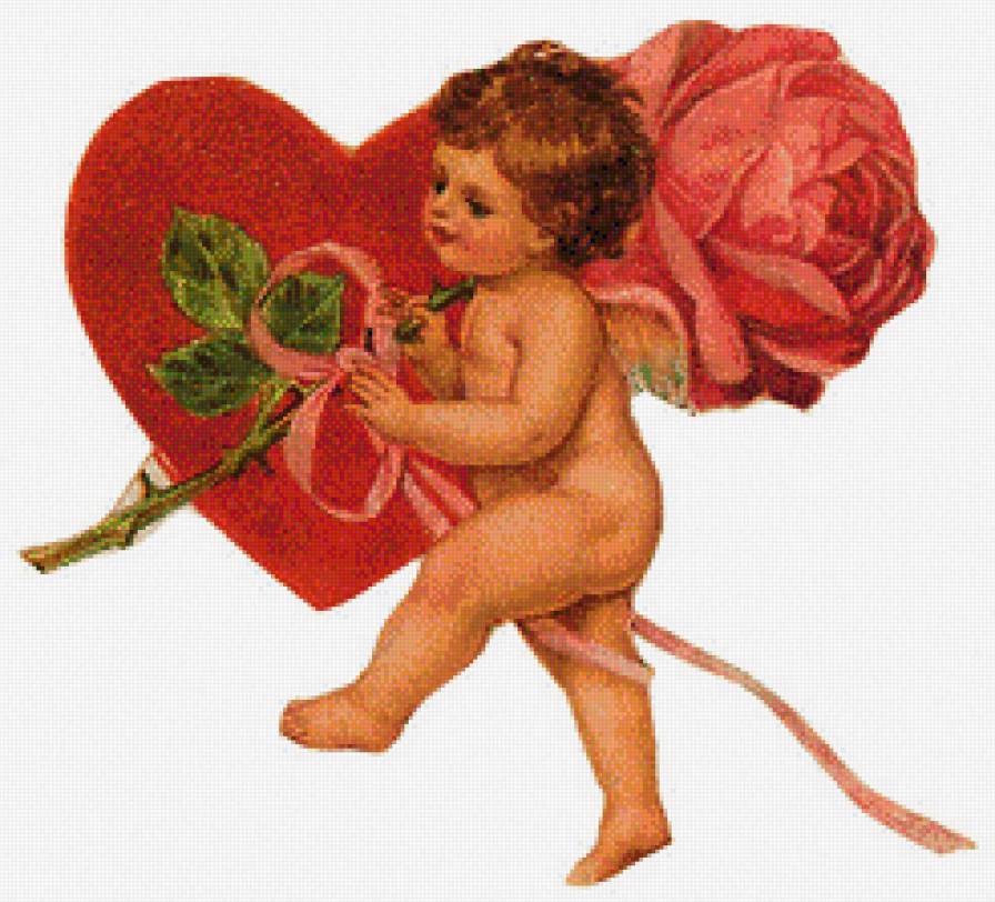 Амурчик - предпросмотр