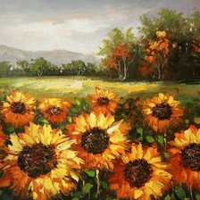 Подсолнухи