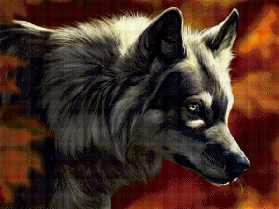 волк - животные, волк, природа, хищник - предпросмотр