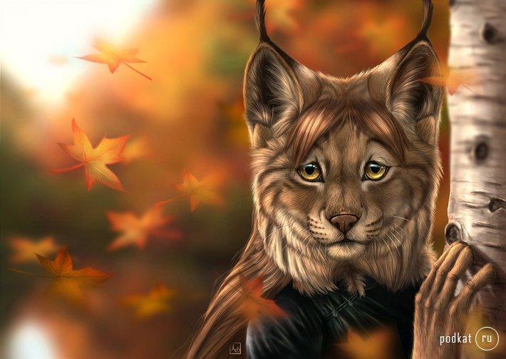 рысь (каракал) - хищник, рысь, животные, большие кошки - оригинал