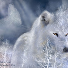 Схема вышивки «Волк Акела»