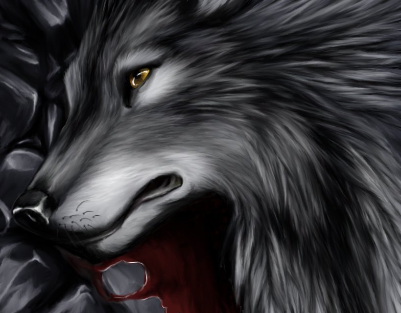волк - хищник, мираж, волк, природа, животные - оригинал