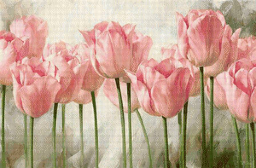 Цветы - цветы, розовый, тюльпаны - предпросмотр